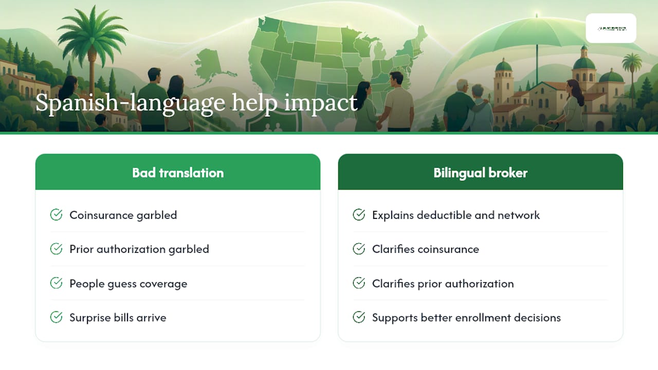 Diagram of translation issues in Spanish insurance terms