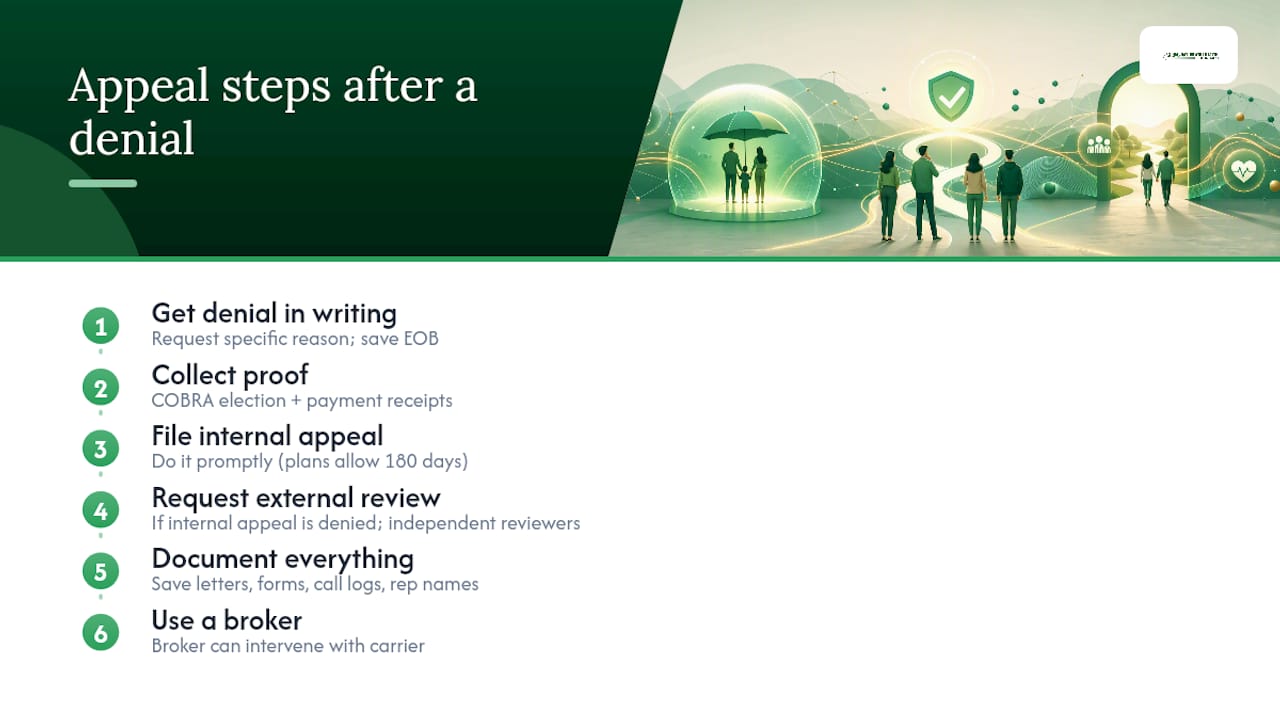 How to Navigate Appeals or Disputes with Insurers After Job Loss — overview diagram